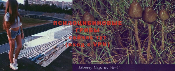 первитин Алексин