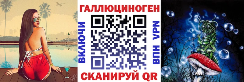 закладки Абакан Псилоцибиновые грибы Psilocybe