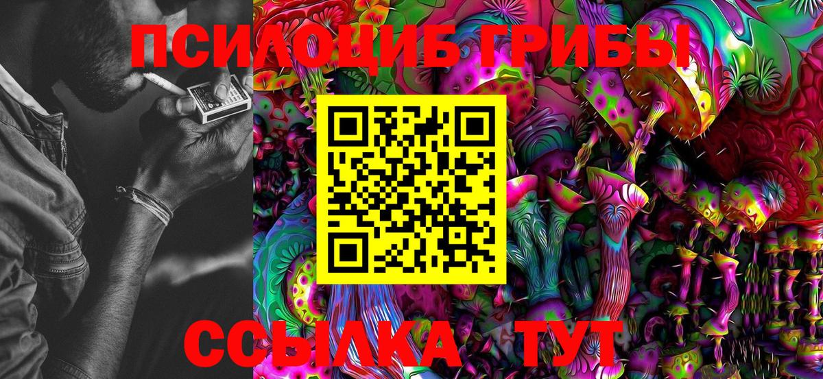 Галлюциногенные грибы Cubensis Абакан