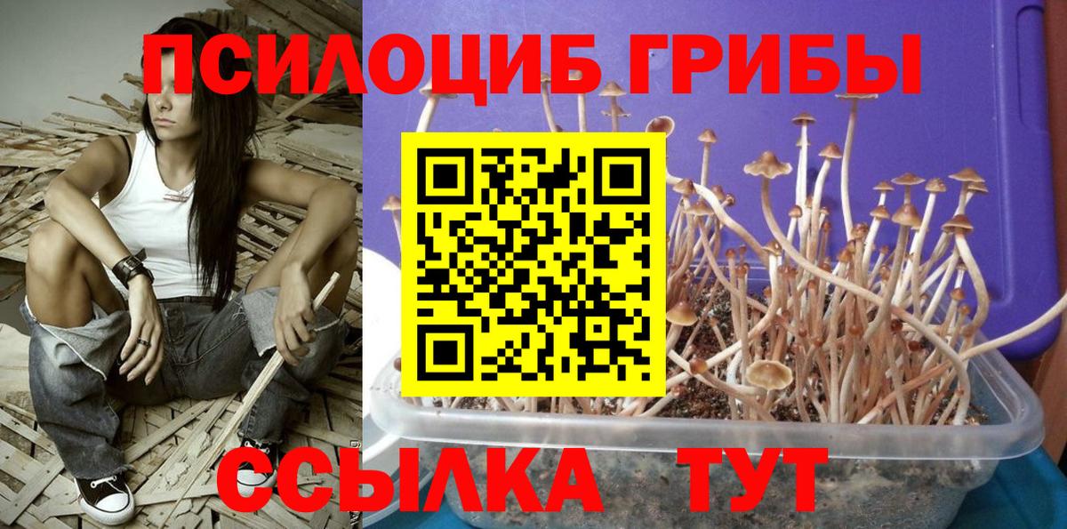 Галлюциногенные грибы MAGIC MUSHROOMS  Вход с VPN  Абакан 